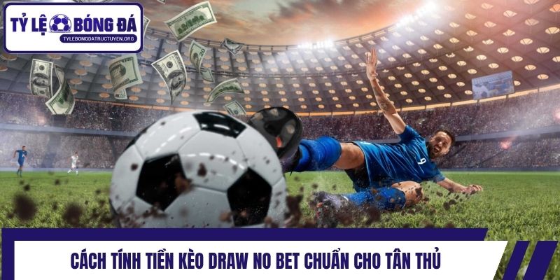 Cách tính tiền kèo Draw No Bet chuẩn cho tân thủ